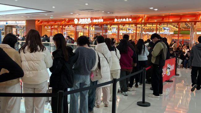 1773819517-f326c8d8dff7df1 1773819517-f326c8d8dff7df1