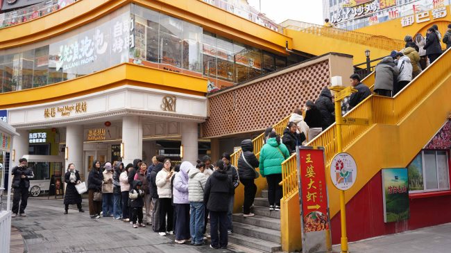 1773819517-3fafebd4bf437ec 1773819517-3fafebd4bf437ec